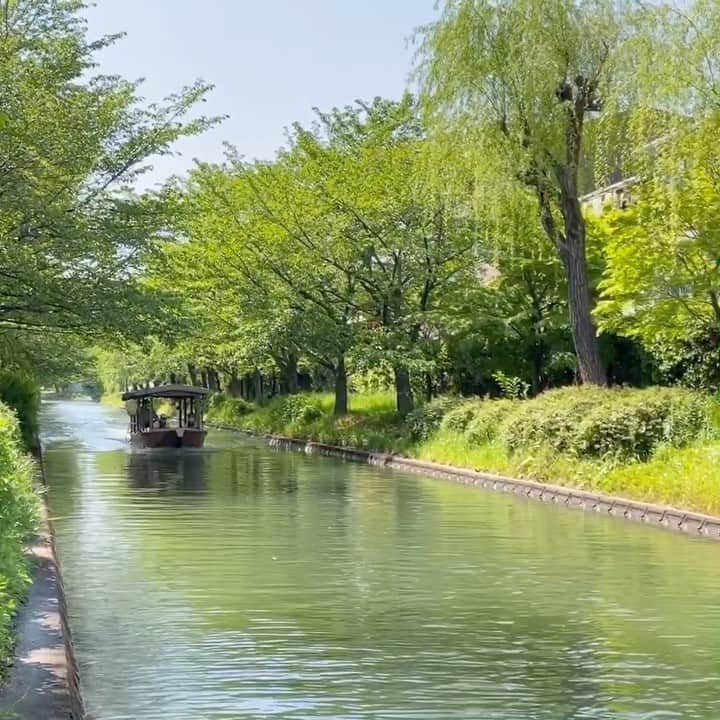 Gekkeikan Sake Officialのインスタグラム：「#travel #travelgram #instatravel #freshgreens #gekkeikan #gekkeikansake #japan #kyoto #fushimi #おうち旅行 #おうち旅 #新緑 #月桂冠 #月桂冠大倉記念館 #京都 #伏見 #十石舟」