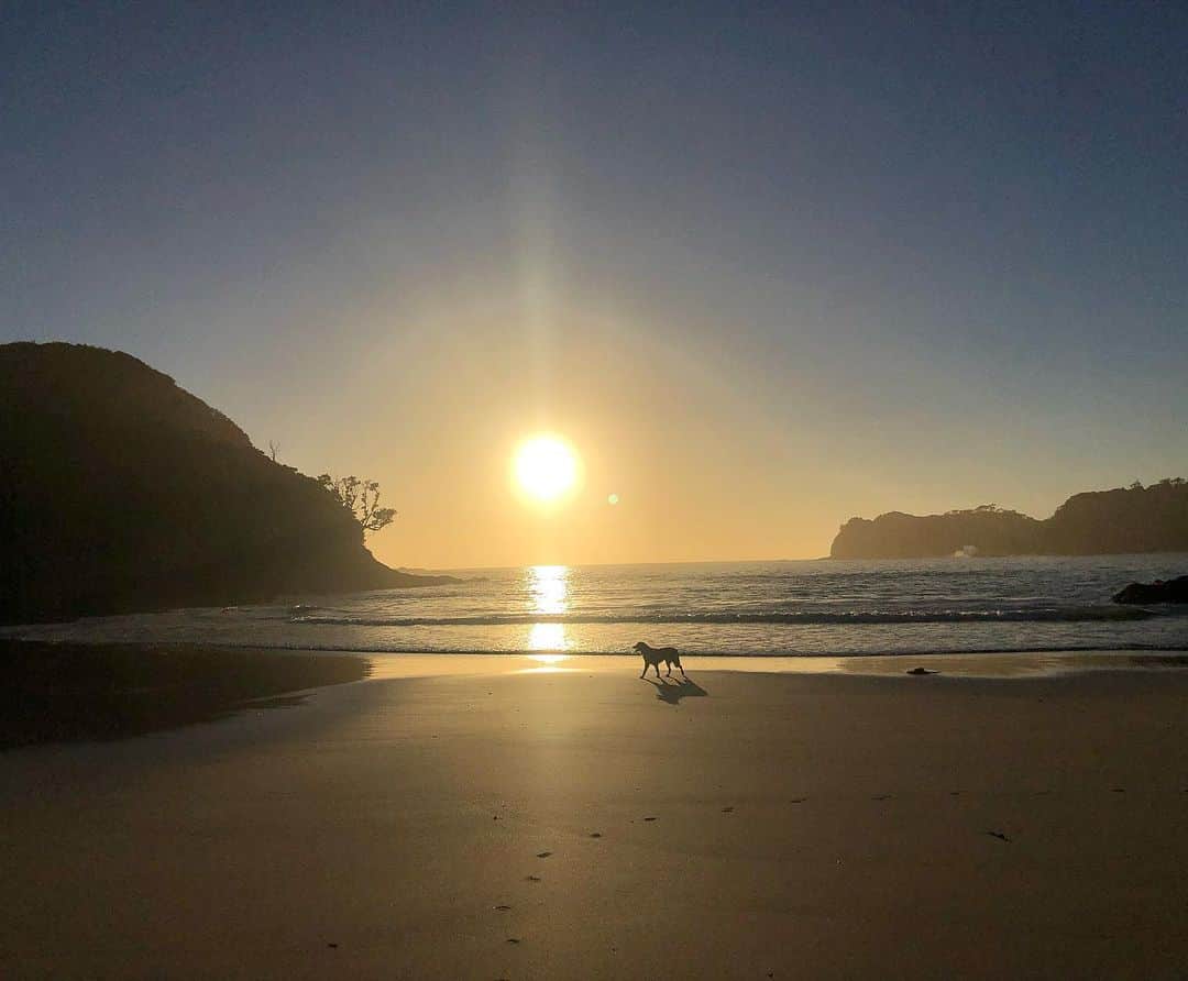 ロードのインスタグラム：「every perfect summer’s gotta take its flight」