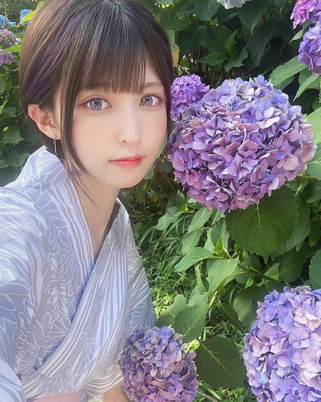 猫田あしゅさんのインスタグラム写真 - (猫田あしゅInstagram)「紫陽花 . . #浴衣 #japanese #japanesegirl #yukata #summer #cosplayer #浴衣女子 #日本 #自撮り #selfie #cosplay #夏 #角色扮演 #yukata #kimono  #wafuku #和服  #派手髪  #紫陽花 #浴衣ヘアアレンジ #hydrangea」6月23日 15時26分 - nekota_ashu