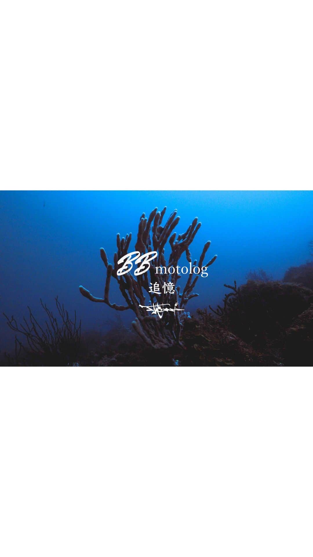 Takemi Yoshiokaのインスタグラム：「🌊音だして観てね🌊  ダイビング中自分の呼吸音と #海の中の音　が好き SONY #rx100m5   #diving #ダイビング#スキューバダイビング#divephotography#静岡#城ヶ崎 #伊豆　#dji #gopro #uwpics #mares #aqualung #scubapro #padi #scubadiving #水中写真　#socialdistancing #underwaterlife #α7iii  #alphaphotography#oceanphotography  #rgblue #islandlife #sonyalpha #美容師の休日 #inon   #宇多田ヒカル さんのMVみたいな感じ作りたかった。」