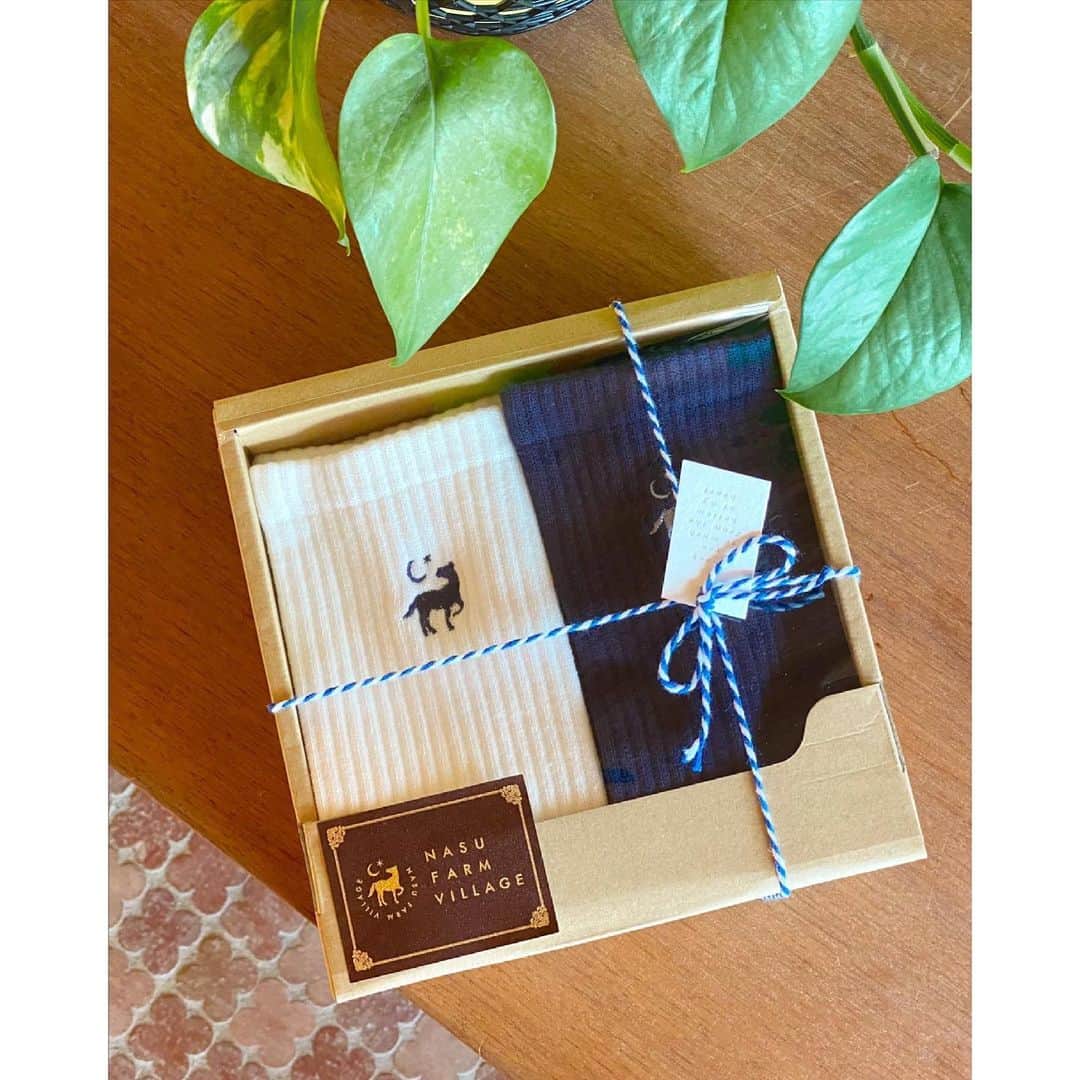 紗栄子のグルメインスタ