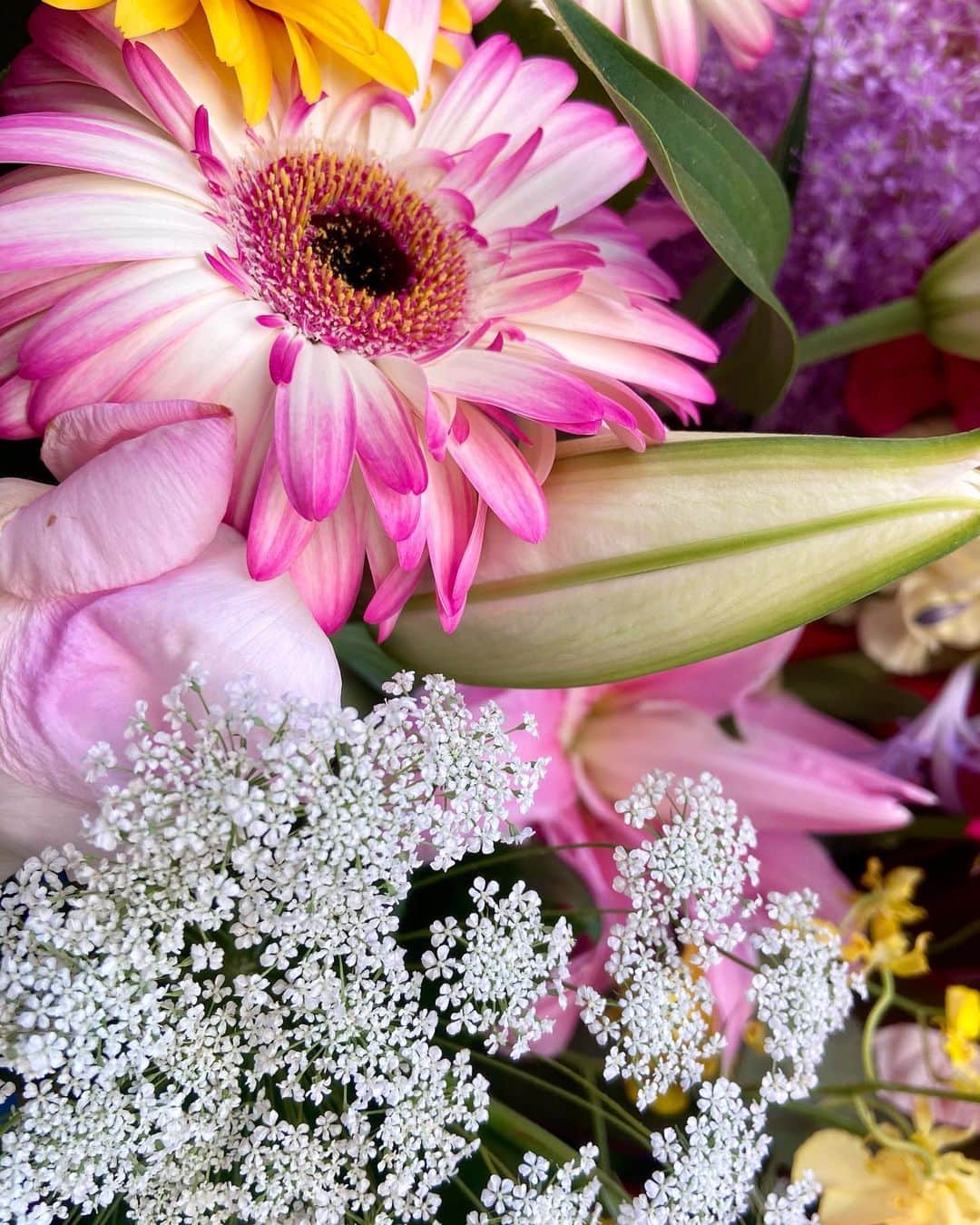 宮村ななこさんのインスタグラム写真 - (宮村ななこInstagram)「Pale love. #photography #photo #flowers #flowerphotography #flower #flowerstagram #love #pink」6月23日 11時27分 - miyamuchan_001