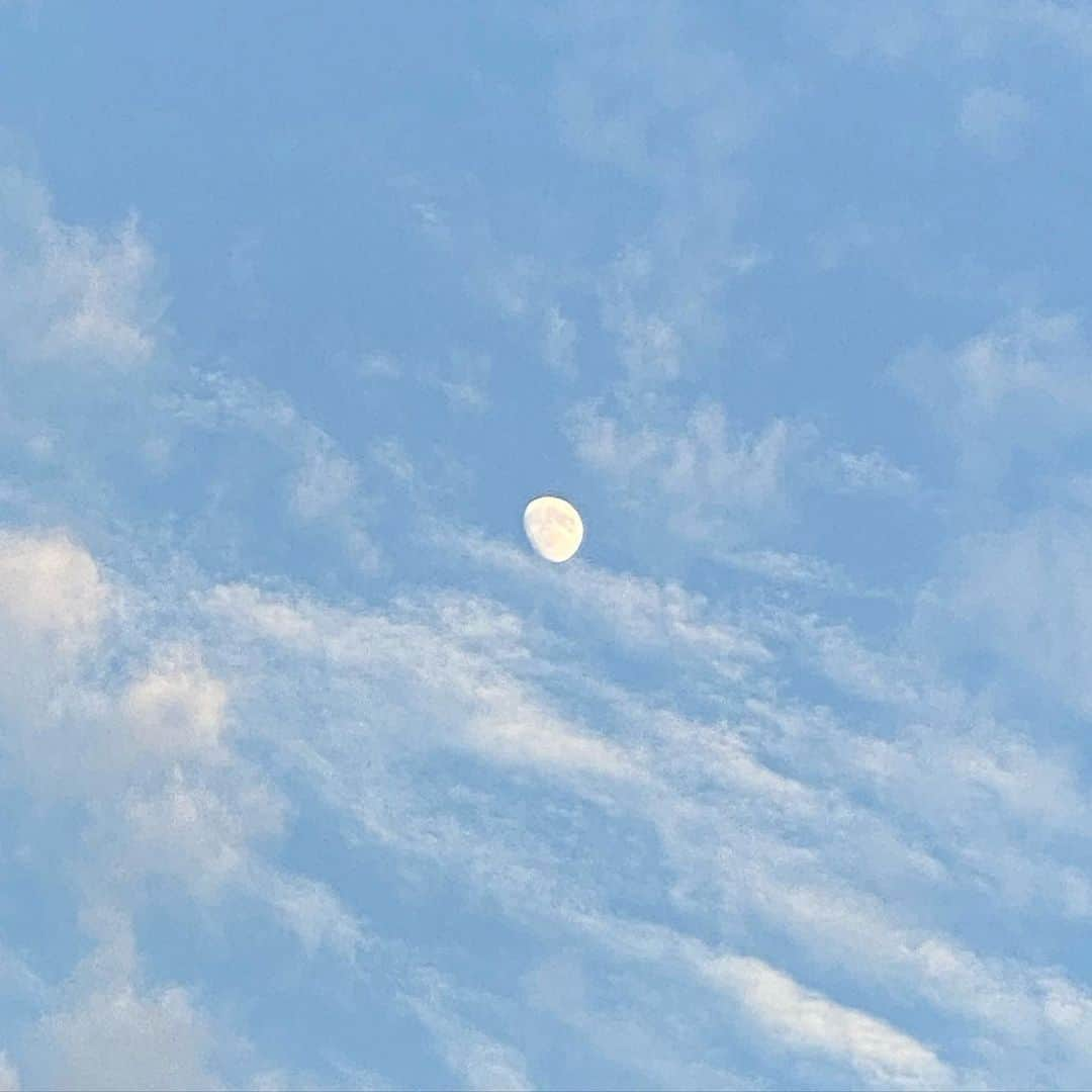 森星さんのインスタグラム写真 - (森星Instagram)「happy summer solstice🌝」6月23日 12時28分 - hikari