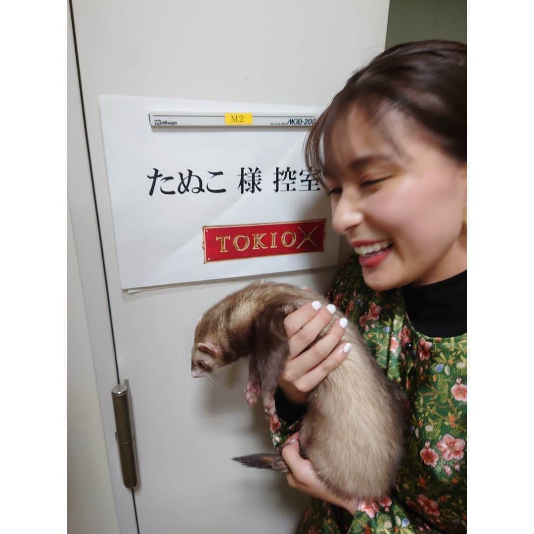 芳根京子さんのインスタグラム写真 - (芳根京子Instagram)「なんとたぬさんの控室が...！ なんと幸せな。 ありがとうございます。 テンションが上がって 自分の楽屋前で写真撮り忘れました。  たぬたん頑張ったね🦫❤️ ありがとう🥺  #TOKIOカケル #Arcアーク #6月25日公開」6月23日 23時43分 - yoshinekyoko