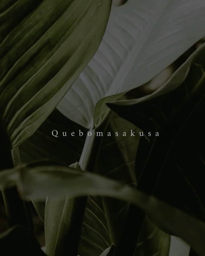 島野ミキのインスタグラム：「・  📍 @quebom_asakusa  本格的なシュラスコとブラジル料理が 楽しめるレストランだったょ🇧🇷✨ お肉がめっちゃ美味しかった🤤💕  最寄駅：つくばエクスプレス 浅草駅A1出口 徒歩1分  定休日： 無し 住所:東京都台東区西浅草2-15-13　日光社ビルB1F TEL：03-5826-1538  #キボン #浅草グルメ #東京グルメ #東京焼肉#ブラジル#ブラジル料理#美味しい#お肉#お肉料理#Brazil#東京 #上野グルメ #食べ放題 #シュラスコ」