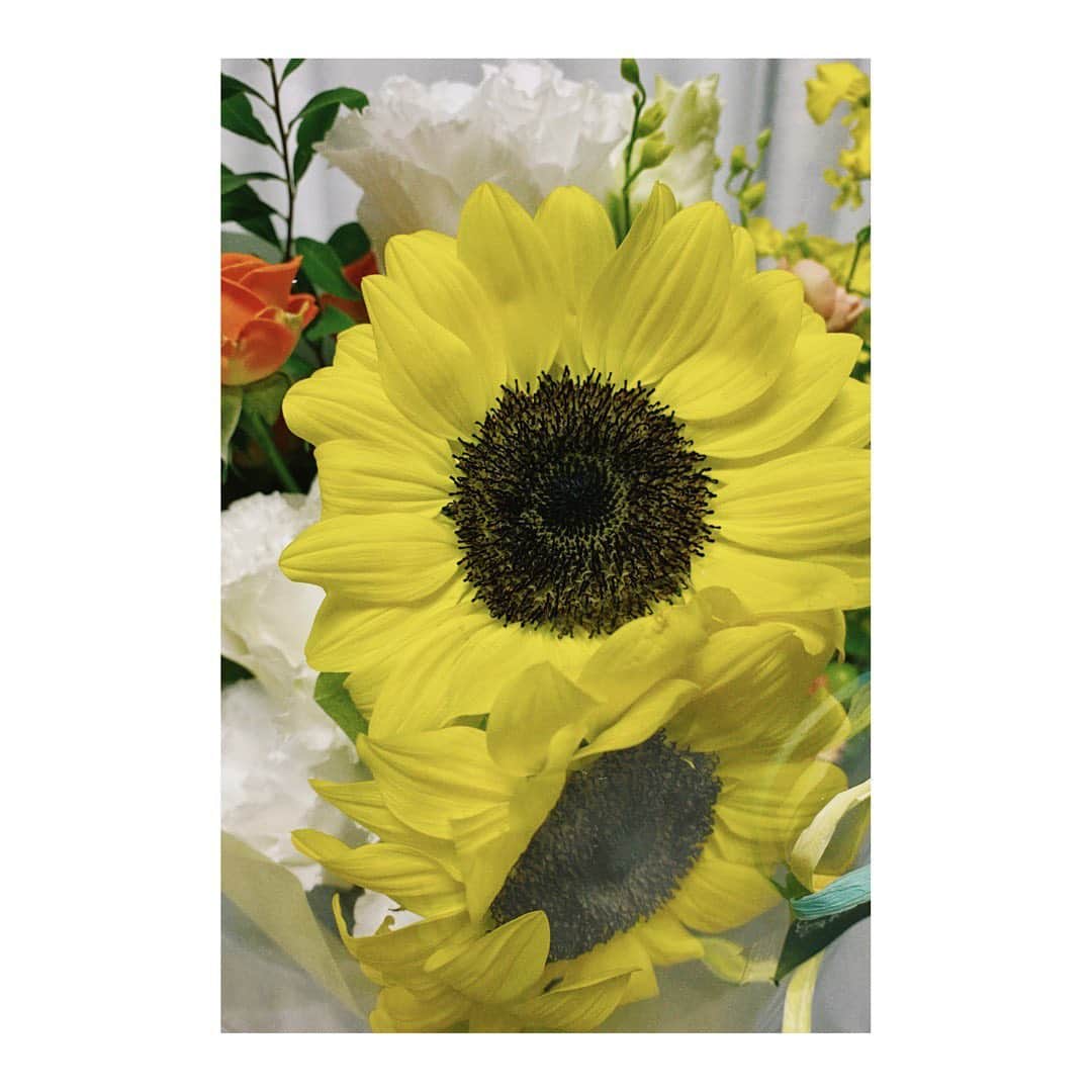 のインスタグラム：「🌻」