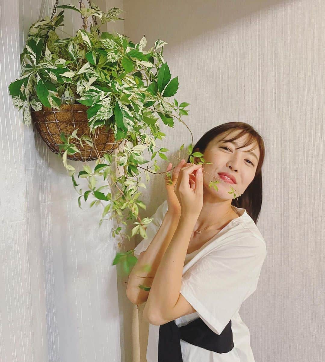 小澤陽子さんのインスタグラム写真 - (小澤陽子Instagram)「𝚒𝚗 𝚙𝚛𝚒𝚟𝚊𝚝𝚎❁  プランテーション🪴第一弾☻  まずは、室内の植物…☺️✨  ずっと置きたかった、#ハンギンググリーン 💚 『#アメリカヅダ』というアイビーにしてみました。 もう…理想通りに完成しました！！ かわいすぎる。。🥺😭🤤💕  緑が入るだけで、気分が変わります💫 心が豊かになった気がする！✨笑。  カゴに、ヤシのマットを敷いて、土を敷き詰めて… 買ってきたアイビーを詰め替え🪴  そして、”ぽーちゃん” こと ポトス＆アイビーたちも 新居にお引越しをして、広い部屋になりました🌱  #伸び伸び育ってね♥︎ #みどりのある暮らし  #丁寧な暮らし  #プランテーション #ぽーちゃん日記 #アイビー　#ポトス」6月23日 20時19分 - yoko.ozawa729