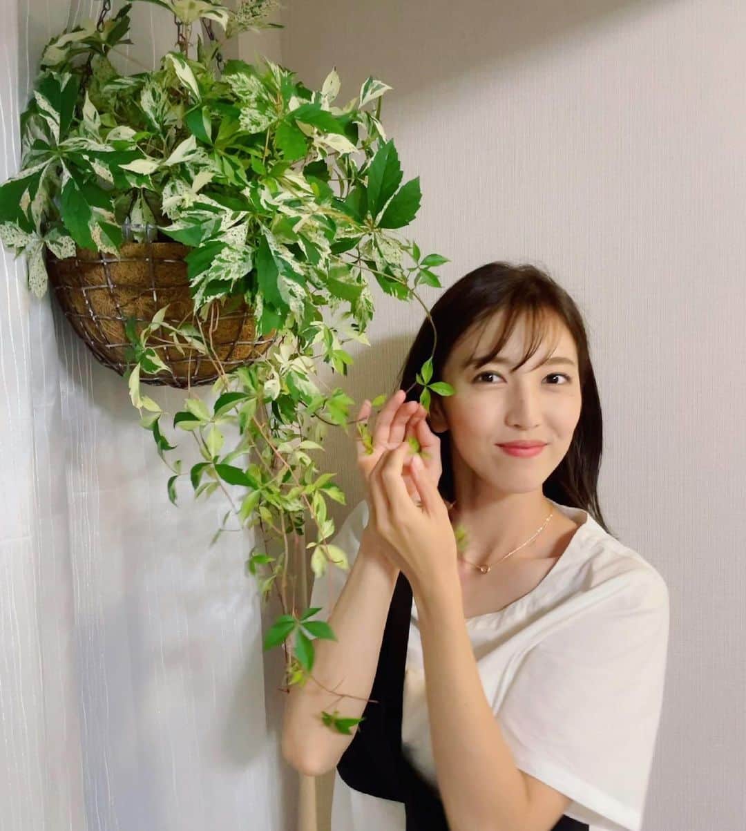 小澤陽子さんのインスタグラム写真 - (小澤陽子Instagram)「𝚒𝚗 𝚙𝚛𝚒𝚟𝚊𝚝𝚎❁  プランテーション🪴第一弾☻  まずは、室内の植物…☺️✨  ずっと置きたかった、#ハンギンググリーン 💚 『#アメリカヅダ』というアイビーにしてみました。 もう…理想通りに完成しました！！ かわいすぎる。。🥺😭🤤💕  緑が入るだけで、気分が変わります💫 心が豊かになった気がする！✨笑。  カゴに、ヤシのマットを敷いて、土を敷き詰めて… 買ってきたアイビーを詰め替え🪴  そして、”ぽーちゃん” こと ポトス＆アイビーたちも 新居にお引越しをして、広い部屋になりました🌱  #伸び伸び育ってね♥︎ #みどりのある暮らし  #丁寧な暮らし  #プランテーション #ぽーちゃん日記 #アイビー　#ポトス」6月23日 20時19分 - yoko.ozawa729