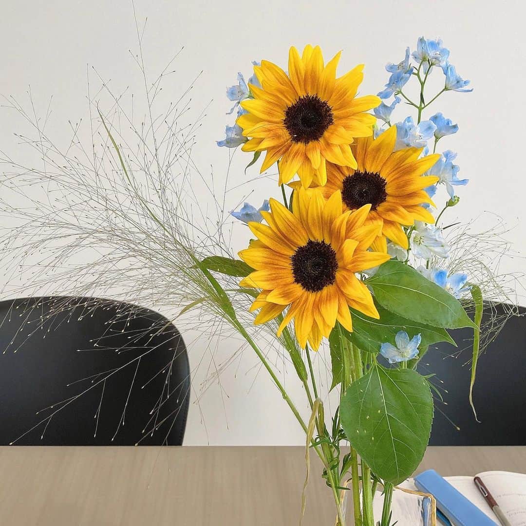 畠山愛理さんのインスタグラム写真 - (畠山愛理Instagram)「🌻 部屋にお花があるだけで、ほんと明るい空間になる😊」6月23日 21時10分 - airihatakeyama