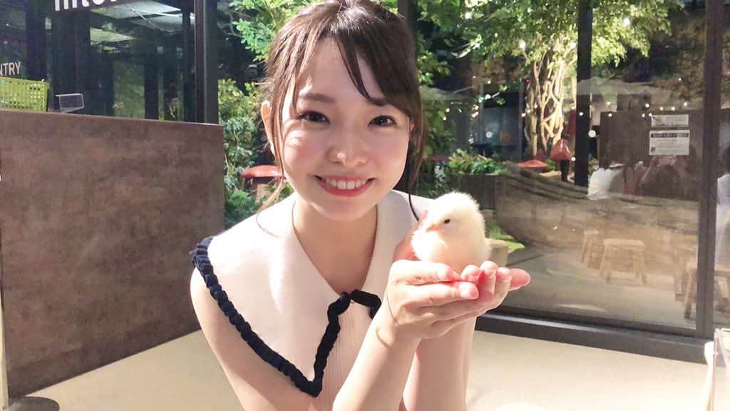濱村春香のインスタグラム：「. 6/26(土)朝11:30〜 BS-TBS『最旬！トレンドサーチ』に出演します☺︎ なんと今回は2つもリポートさせていただきます🙌🏻 ディレクターさん曰く "濱村祭り"だそうです笑 全国広い地域で観ていただけますし、 30分間最初から最後までしっかり見届けてくれると嬉しいです ⁡ まず1つ目は、とにかく癒される屋内型動物園🐥 いろんな動物と触れ合ってきました✌︎ ⁡ ⁡ ２つ目は明日お知らせします〜 ⁡ #moffanimalworld #BSTBS #最旬トレサー」