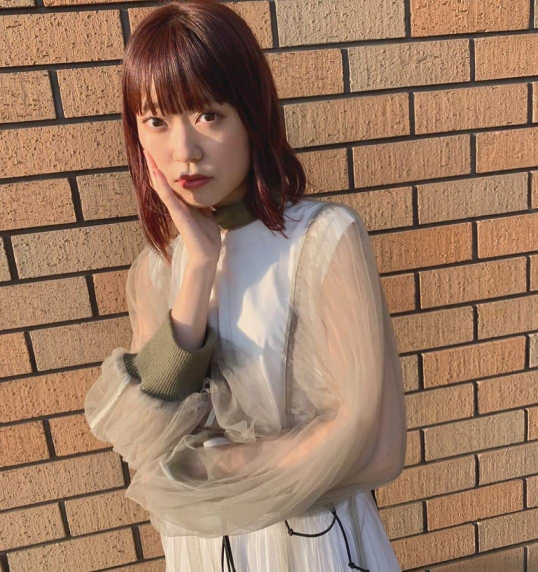 のインスタグラム：「見てくれた？🦢」