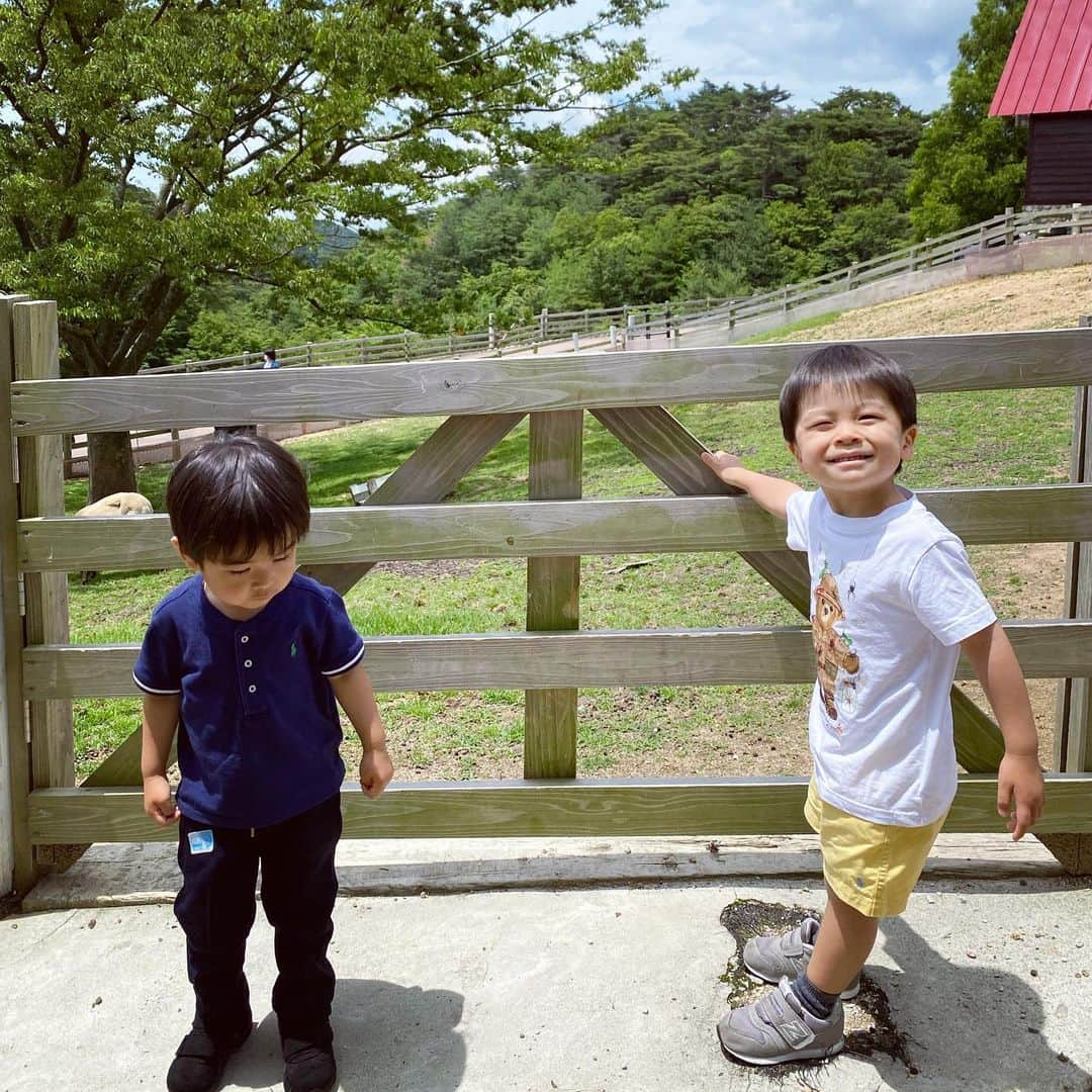 小川ひとみさんのインスタグラム写真 - (小川ひとみInstagram)「幼馴染と久しぶりの再会は 六甲山牧場へ🥰 乗馬を楽しみにしていた息子 ２回乗ったのですが お馬さんの名前を呼びながら 溢れんばかりの笑顔でとても幸せそうでした😭 海の生き物、陸の生き物、 共に大好きな息子は "わんちゃんほしいねぇ"と 毎日のように話しています✨ "飼ったらどうする？"と聞くと "ご飯あげて、ミルクあげて一緒にねんねする！"と とても楽しそうに話してくれる姿を見て 私も飼いたいなぁと思いながら まだまだ先になりそうです🥰 #kobelife #六甲山牧場 #2歳5ヶ月」6月24日 10時07分 - hitomy220