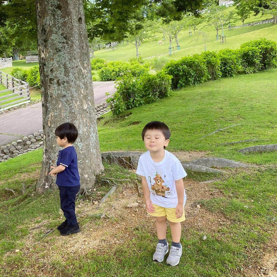 小川ひとみさんのインスタグラム写真 - (小川ひとみInstagram)「幼馴染と久しぶりの再会は 六甲山牧場へ🥰 乗馬を楽しみにしていた息子 ２回乗ったのですが お馬さんの名前を呼びながら 溢れんばかりの笑顔でとても幸せそうでした😭 海の生き物、陸の生き物、 共に大好きな息子は "わんちゃんほしいねぇ"と 毎日のように話しています✨ "飼ったらどうする？"と聞くと "ご飯あげて、ミルクあげて一緒にねんねする！"と とても楽しそうに話してくれる姿を見て 私も飼いたいなぁと思いながら まだまだ先になりそうです🥰 #kobelife #六甲山牧場 #2歳5ヶ月」6月24日 10時07分 - hitomy220