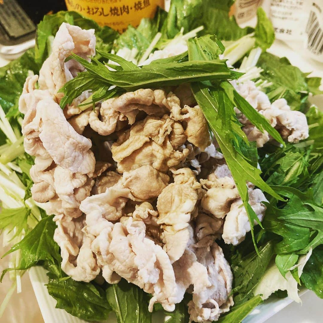 こーすけさんのインスタグラム写真 - (こーすけInstagram)「ロース豚冷やしゃぶサラダ🥗 豚しゃぶを茹でる時お塩と料理酒入れたお湯でやると味が引き締まっておススメ！あとは冷水で冷やさず普通にラップして放置か冷蔵庫で冷やすと味落ちなくていいです！  下の葉は水菜とレタス🥬 かけるタレはお好みで！」6月24日 11時41分 - kosuke_saiore