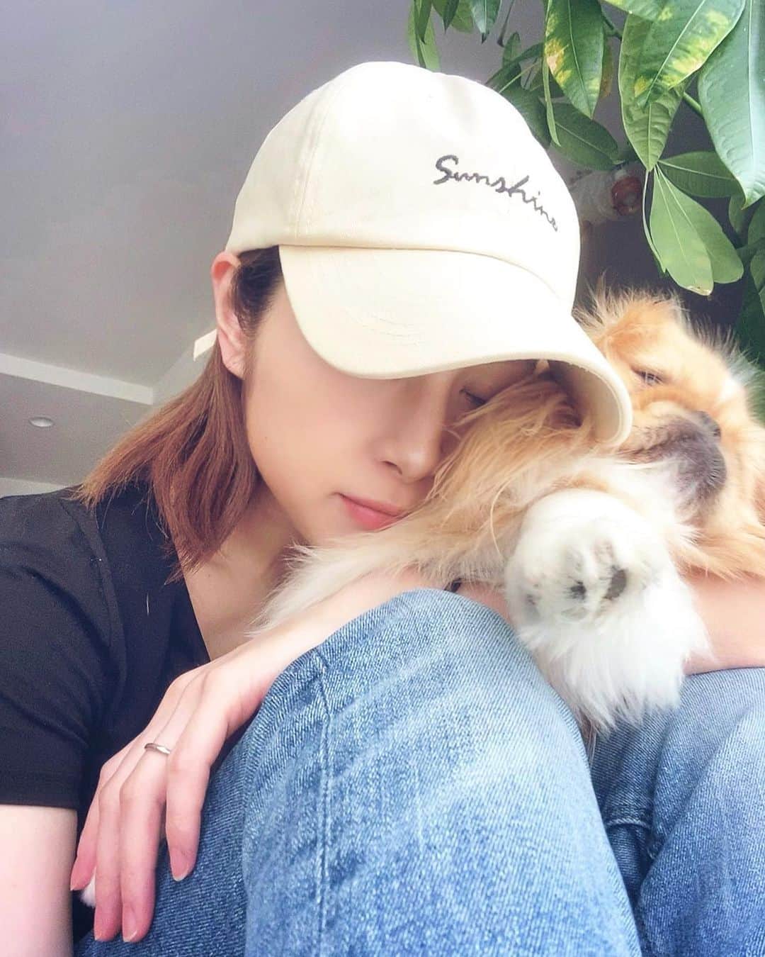 のインスタグラム：「▽ 癒し🌱𓈒𓂂𓏸  妊娠中も陣痛中も産後もサポートしてくれてる専属セラピストです🐶  昨日も、ギャン泣きだった👶🏻が落ち着いて、 ひと息ついた瞬間に膝に乗って来てくれた🥲💕  早く👶🏻と🐶を一緒に遊ばせたいな𓈒𓂂𓏸  #壁チャレンジ やってみたらちゃんと手を伸ばしました👏笑  #癒し」