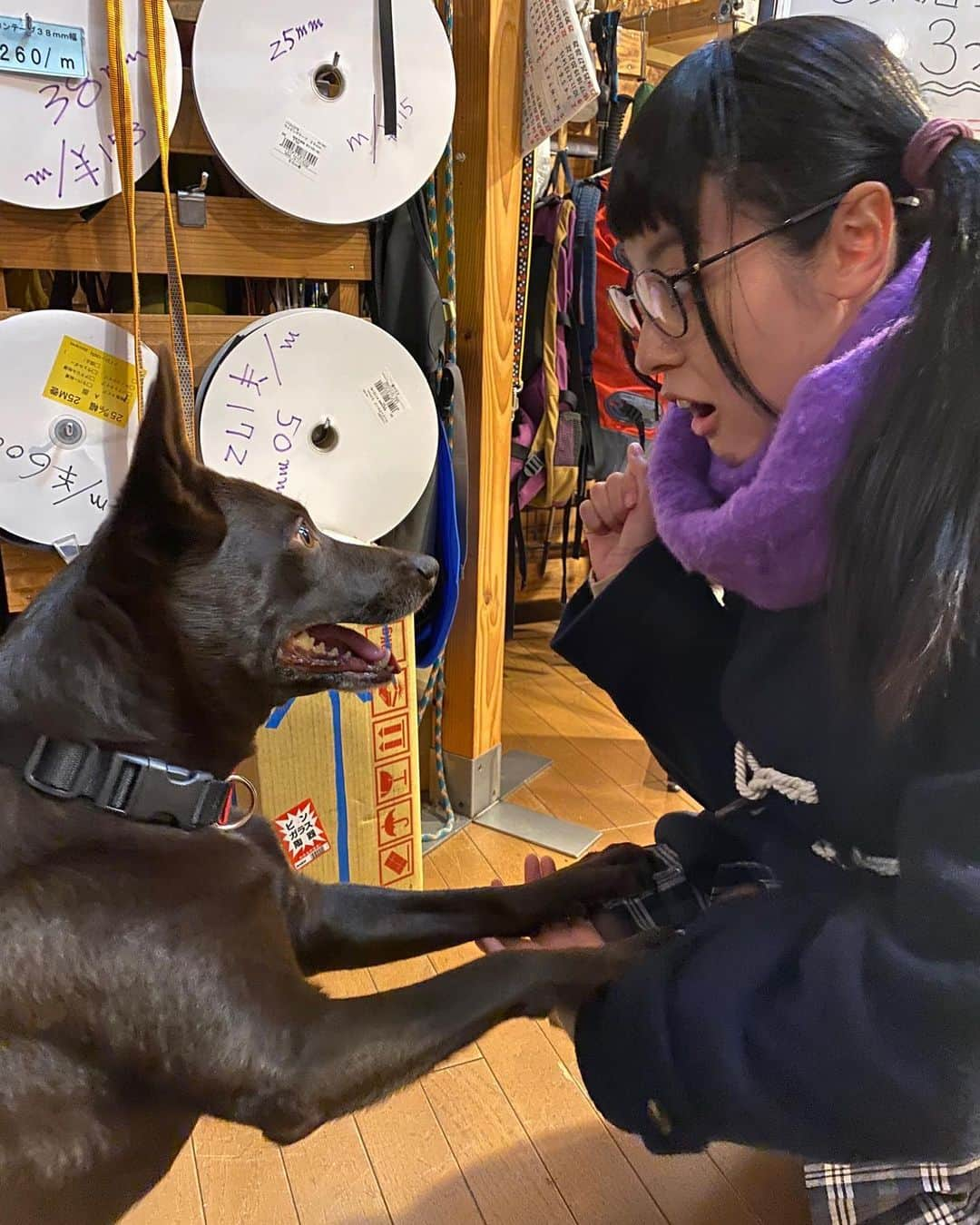 田辺桃子さんのインスタグラム写真 - (田辺桃子Instagram)「昨日に続いて、ゆるキャン△2 こんなに癒されるドラマ他にある？と言いたくなるほど私自身も毎週癒されていたし、毎度色んな角度から投げる私の演技にちゃんとそれぞれのキャラクターで受け止めて投げ返してくれる4人と、鳥羽せんせー改め土村芳さんをはじめとするキャストチームの方々には、感謝しかありません そして、シーズン1に引き続きゆるキャン△ワールドを作ってくださったスタッフチームの皆様にも尊敬の意と感謝の気持ちでいっぱいです ⁡ まだまだこの世界を見ていたいよーー、、！ これが率直な気持ちです。笑 ⁡ またこのチームでものづくりができますように。 また大垣千明に会えますように。 ⁡ シーズン2も沢山愛してくださって 本当にありがとうございました~!!😎 ⁡ ⁡ ⁡ #ゆるキャン2 #yurucamp2」6月24日 14時02分 - momoko__tanabe