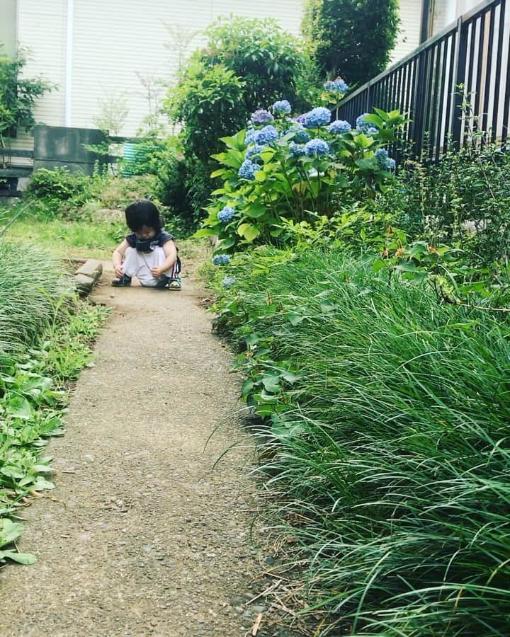 吉田ヒトシのインスタグラム：「お庭で花を見つけて  見せてくれるこうちゃん。  可愛い😍  #1歳児の遊び  #四児のパパ  #吉田ヒトシ」