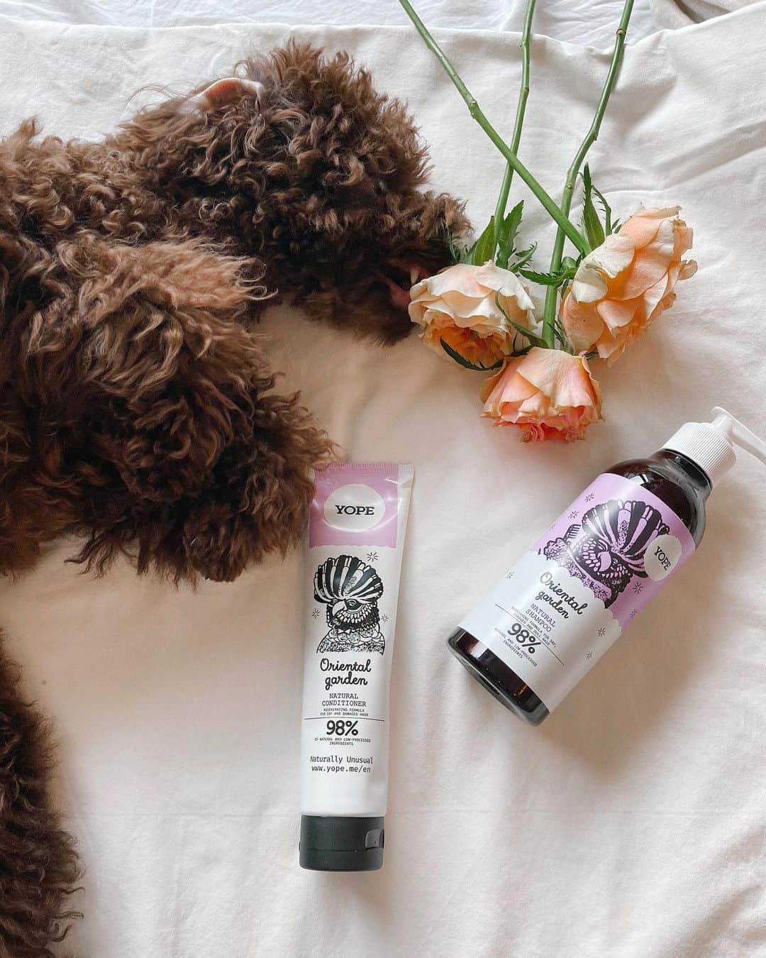ALEXAさんのインスタグラム写真 - (ALEXAInstagram)「Best smelling @yope_jp 💕 We took a shower together and Mocha ( the pup) loved it too~」6月24日 16時17分 - alexa_luczak