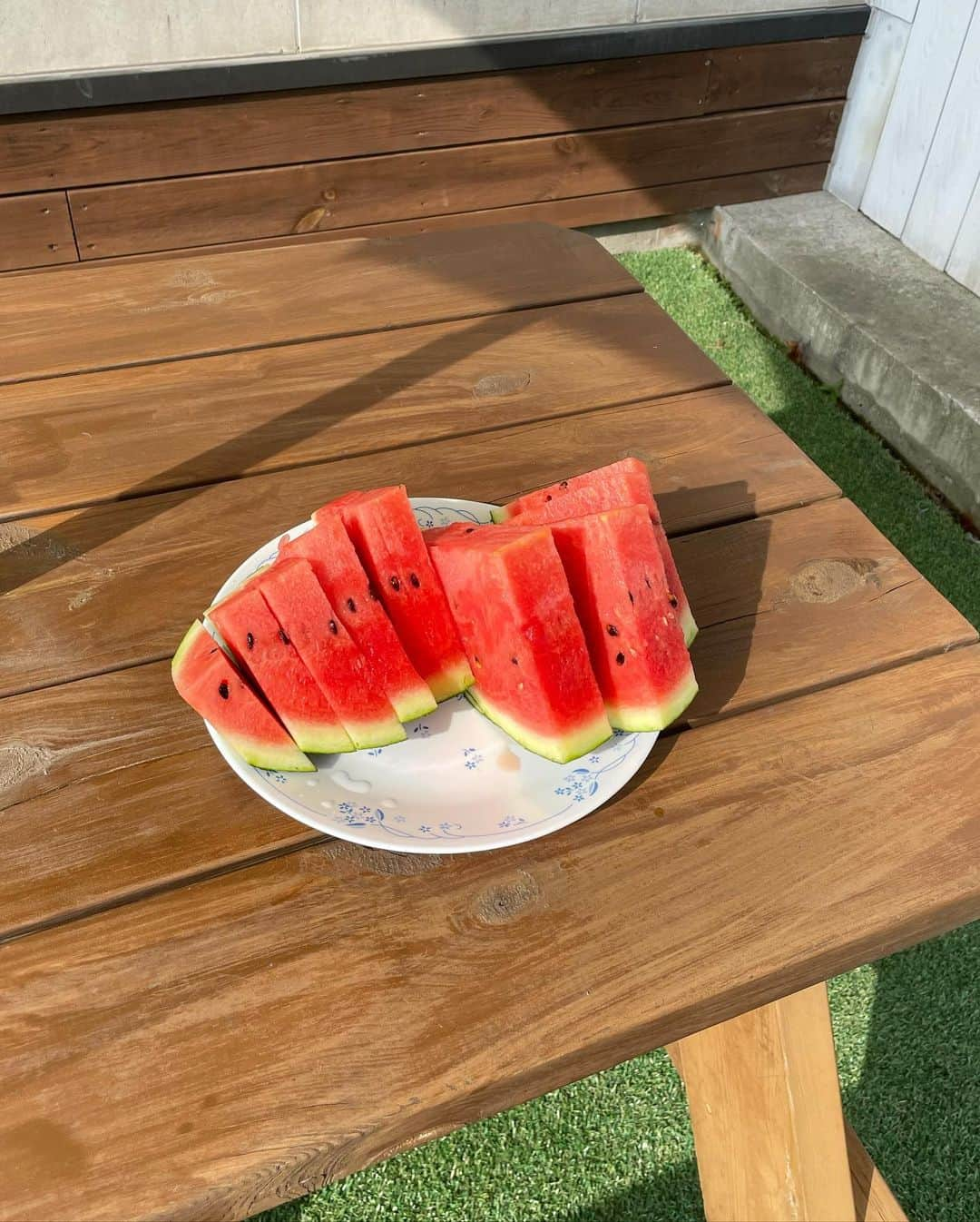 知英さんのインスタグラム写真 - (知英Instagram)「SUMMERTIME 🍉🌴🌊🐶🥕🐬😎」6月24日 20時49分 - kkangjji_