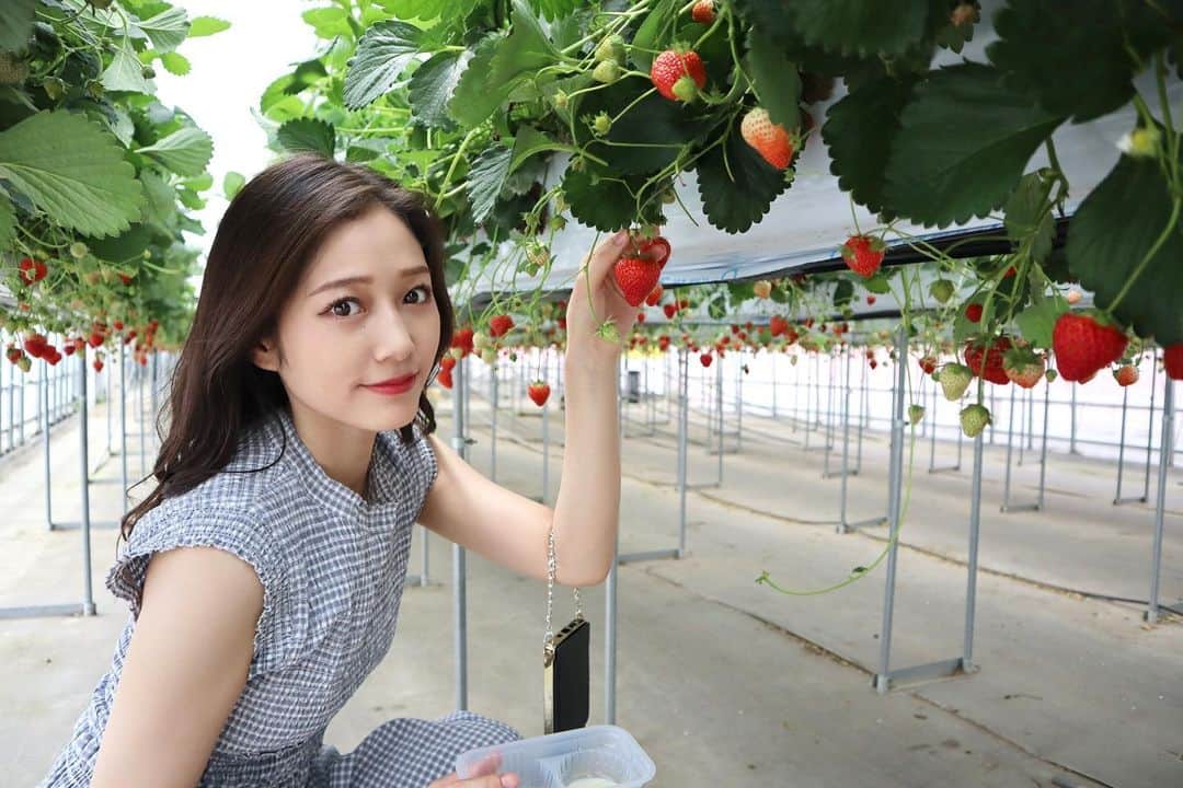 谷本安美のインスタグラム