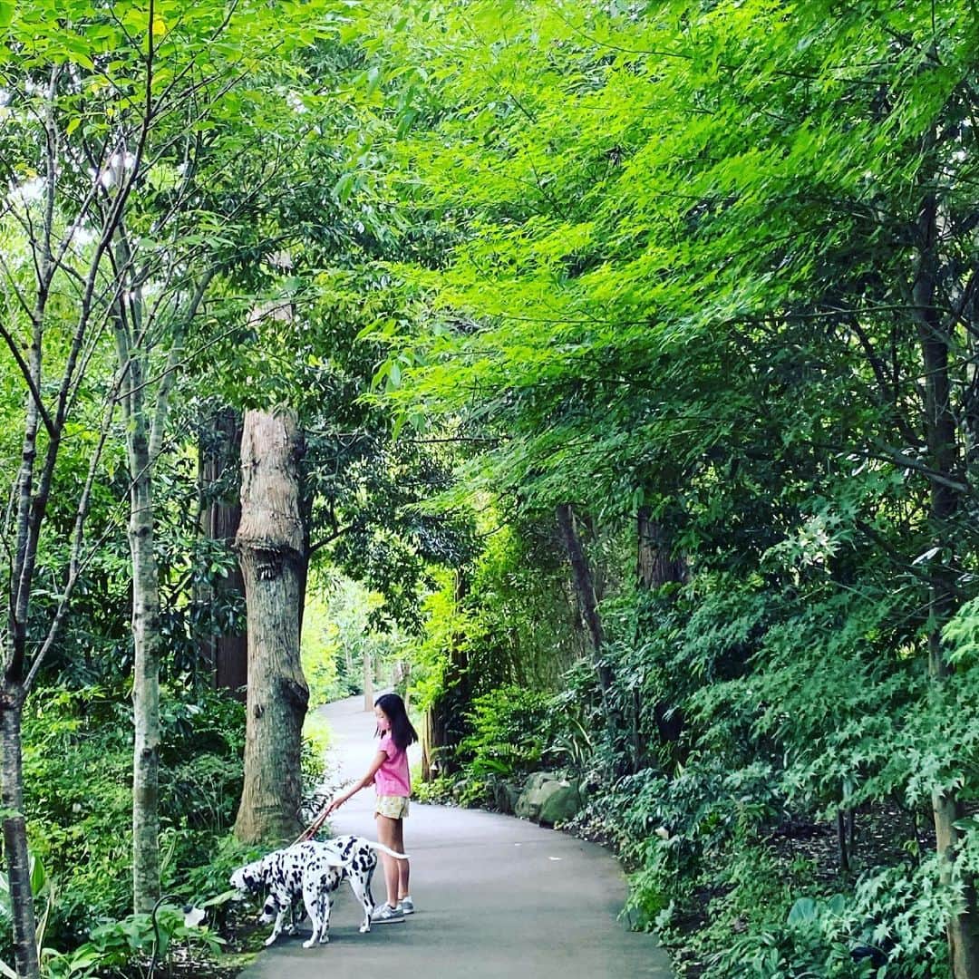 高岡早紀 さんのインスタグラム写真 - (高岡早紀 Instagram)「心に緑の栄養を。。  #大切な時間」6月24日 21時13分 - saki_takaoka