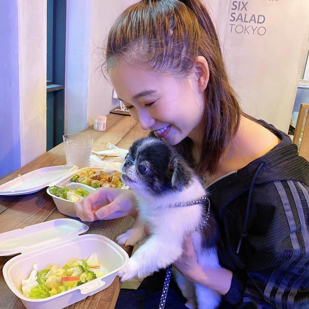 谷川りさこのインスタグラム：「リステリンの数量限定 「ココナッツスプラッシュ」 を試してみました！ 限定パッケージでかわいい。 低刺激タイプで、初めてリステリンを使う人にもおすすめ！ ココナッツのフレーバーはマスクしてても凄く爽やかで、毎日使うのが楽しみ。 口臭を防止してくれるから今の時期にぴったり！  全国のドラッグストアやスーパーマーケットなどで購入出来るみたいなので、是非チェックしてみて下さいね！ (一部取り扱いがない店舗あり)  #pr  #リステリン  #listerine  #ココナッツスプラッシュ  #歯磨き  #マウスウォッシュ  #口臭ケア  #口臭対策  #オーラルケア #リステリンでブレスメイク」