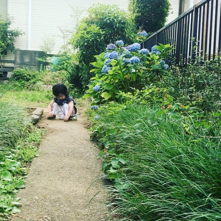 吉田ヒトシのインスタグラム：「先の投稿ではわからないので  再投稿。  お庭で花を見つけて  見せてくれるこうちゃん。  可愛い😍  #1歳児の遊び  #四児のパパ  #吉田ヒトシ #ママありがとう」