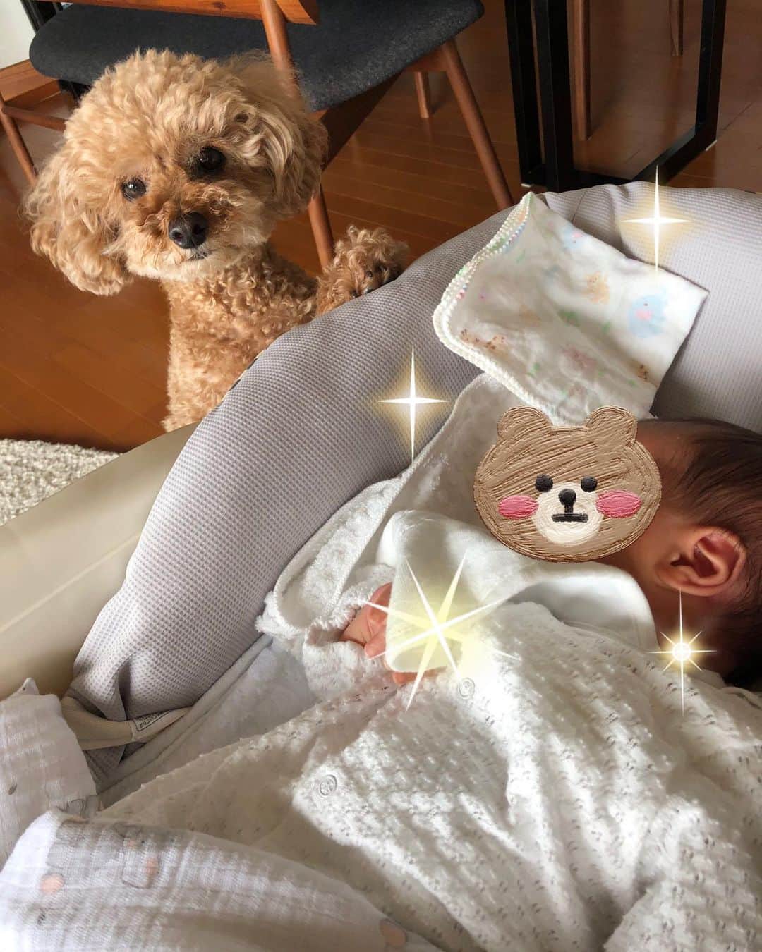 月央和沙さんのインスタグラム写真 - (月央和沙Instagram)「赤ちゃんに、 興味深々のケリたん❤️🐶 不思議と絶対に悪いことはしません✨  今では、 赤ちゃんが泣くと心配そうに 教えてくれます👆🏻✨  僕が赤ちゃんを守るんだ🐶 と言ってるようです。  . #どちらも可愛い #ケリたん #赤ちゃん #子守犬」6月24日 22時44分 - kazusa_tsukio
