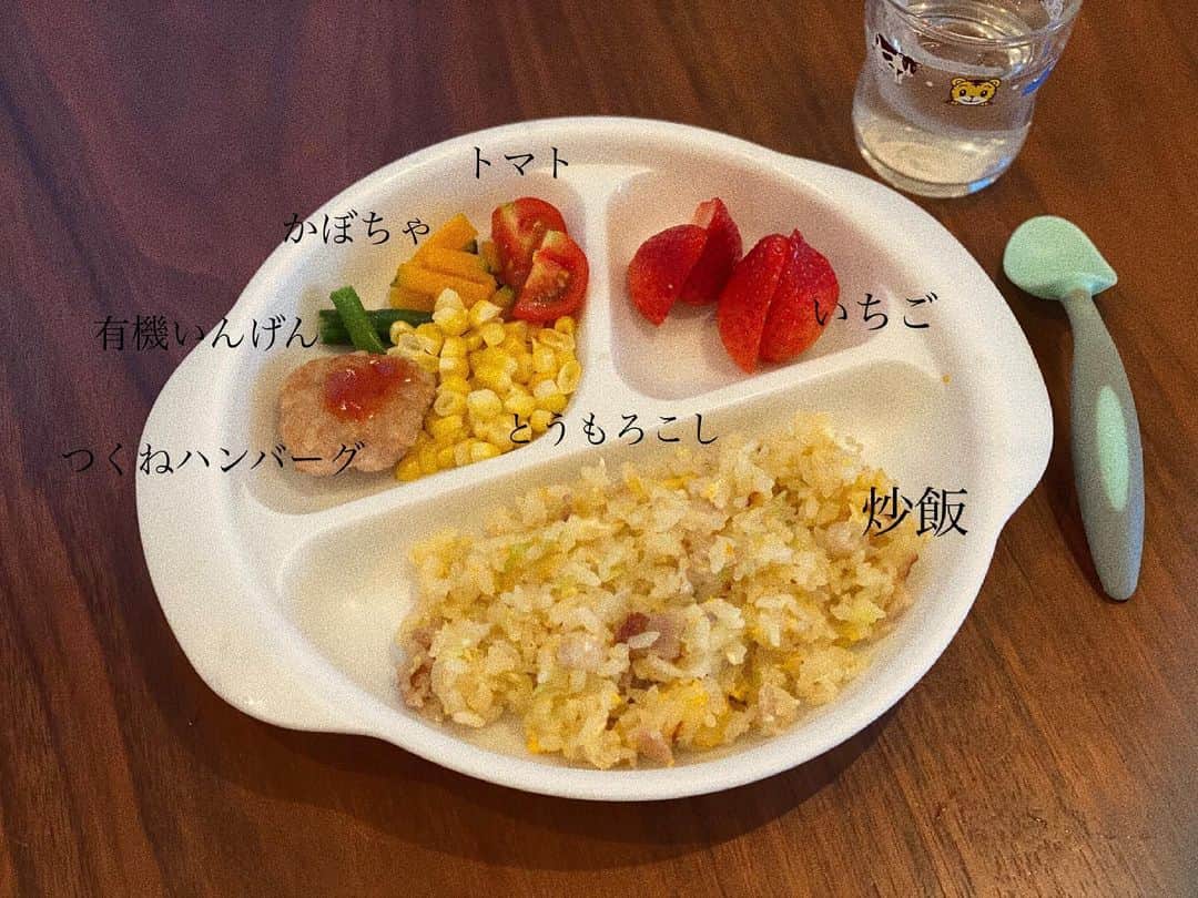 瀬戸サオリさんのインスタグラム写真 - (瀬戸サオリInstagram)「息子ご飯🍚🍴 ハンバーグは鶏の方が 大好物なので最近のストックは 鶏のつみれをハンバーグに🌱 .  私のモットーは 毎日丁寧な暮らし🪐だけど☺️ それに加えて 丁寧な言葉遣いも プラスしてます🌼  いい時も悪い時も 言葉は綺麗な言葉を 発していたいと… そう思って合わせて 心がけてると 何だか心がウキウキするよ🥰 . あと電子レンジを使わない笑💥 ストックした物解凍する時 手間はかかるけど 蒸し器で…😵‍💫笑  っていう日々の報告でした🙃 みなさん良い週末を🧺 ＿＿＿＿＿＿＿＿＿＿＿＿＿ #息子ご飯 #離乳食完了期  #離乳食メニュー #有機野菜 #オーガニック離乳食 #saori_cooking」6月25日 22時03分 - seto_saori