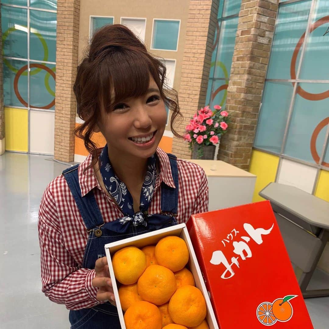 森本晴香さんのインスタグラム写真 - (森本晴香Instagram)「⁡ ❁牟岐町のもち麦 ⁡ ゴジカル！生放送終了です♬ JA共済プレゼンツ笑味ちゃん通信では JAアグリあなんのハウスみかんをご紹介しました✮  ⁡ 甘味と酸味の絶妙なバランスと、 皮が薄くダイレクトに果汁の旨みを感じられる果肉で 最高の味のハウスみかん🍊 ⁡ 今年もとっても美味しいみかんができたそうですよ❀ ⁡ ブログも更新しているので是非見てみて下さいね💕 ⁡ ✒️ブログ https://office-sereno.com 私のトップページのURLから飛べます✈️ または「森本晴香　セレーノ」 ⁡ ⁡ #アナウンサー #フリーアナウンサー #女子アナ#リポーター#タレント#ナレーター#徳島タレント#徳島ローカルタレント#森本晴香 #ナレーター#徳島ナレーション#徳島ナレーター#FM#FM徳島#fm807 #テレビ #ラジオ#T-Joint#新潟#広島#愛媛#徳島#セレーノ ⁡」6月25日 22時25分 - harukamorimoto