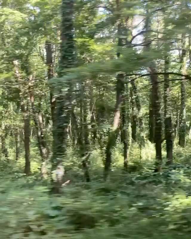 カン・イェウォンのインスタグラム：「❤️ 한계절 한계절 영상에 내 시선의 제주를 기록하기🌿🌿 🌿   #케이티퐝_vlog🎥」