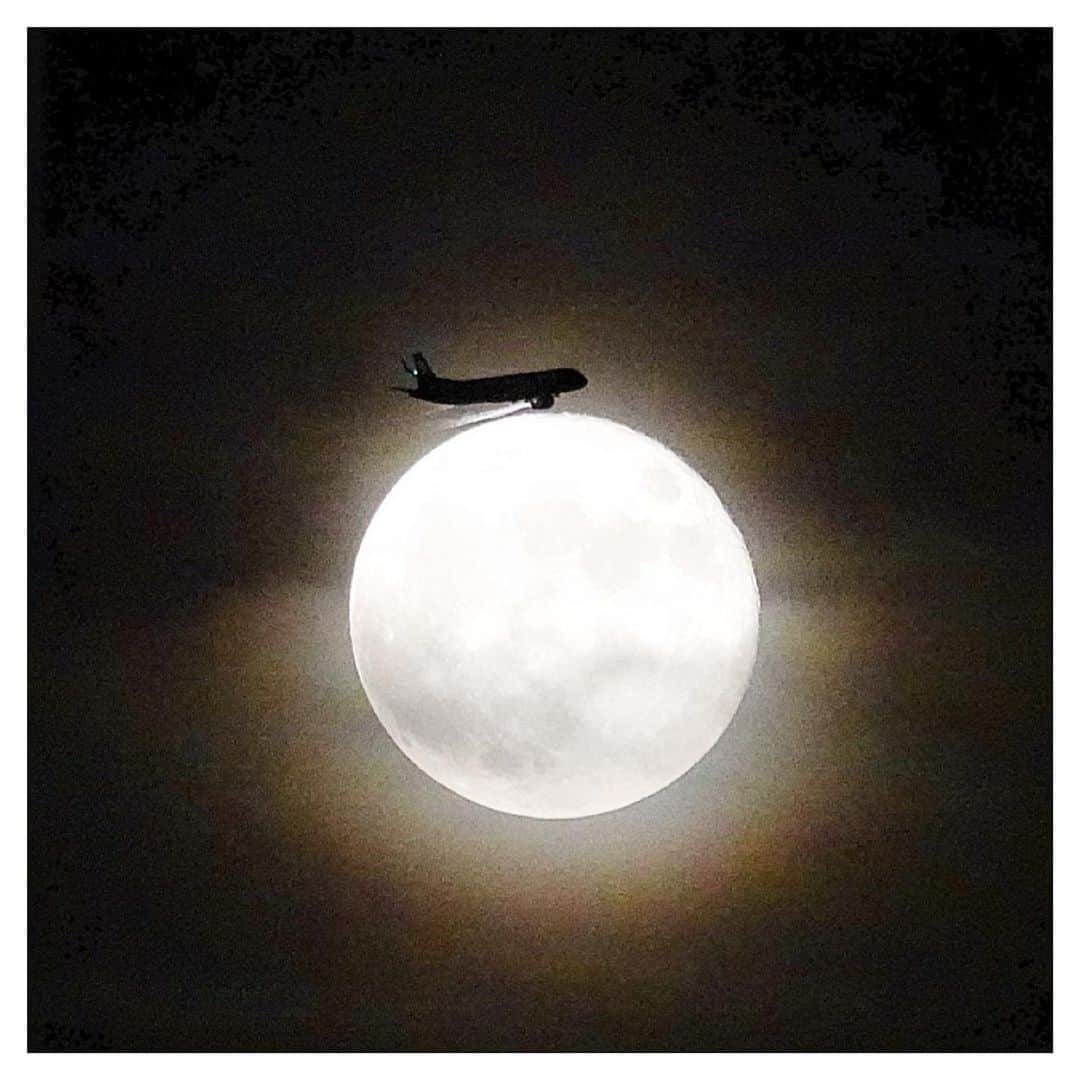 さだまさしさんのインスタグラム写真 - (さだまさしInstagram)「ストロベリームーン🌕 奇跡の１枚✨ 自分でもビックリ❣️ . #ストロベリームーン #strawberrymoon  #満月 #飛行機 #旅客機 #満月と飛行機 #奇跡の一枚」6月25日 21時01分 - sada_masashi