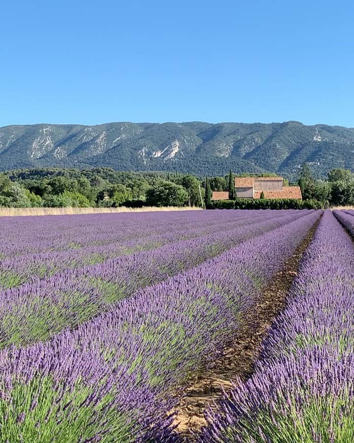 マチルダ・タントットのインスタグラム：「Happy to call this place « home » 🌾」
