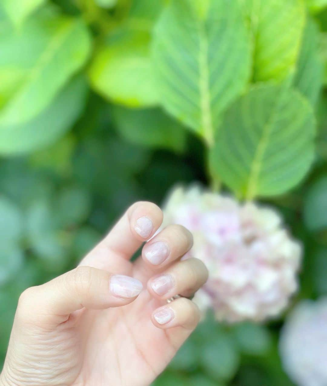 越馬千春さんのインスタグラム写真 - (越馬千春Instagram)「. マーブルピンク💗✨ 同じような色の紫陽花があったので💫  毎度りささんにお任せしてます🤍 @risa.ujunail  @uju.nail.room  いつもありがとうございます🤍💗 #ネイル #nail #ジェルネイル #ネイルサロン#💅#ハンド#ujunail#マーブルネイル#代々木上原ネイル#代々木上原#ピンクネイル」6月26日 9時11分 - chiharukoshiba