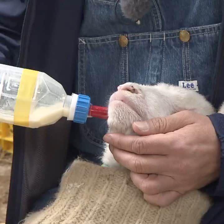 北海道放送「今日ドキッ!」のインスタグラム