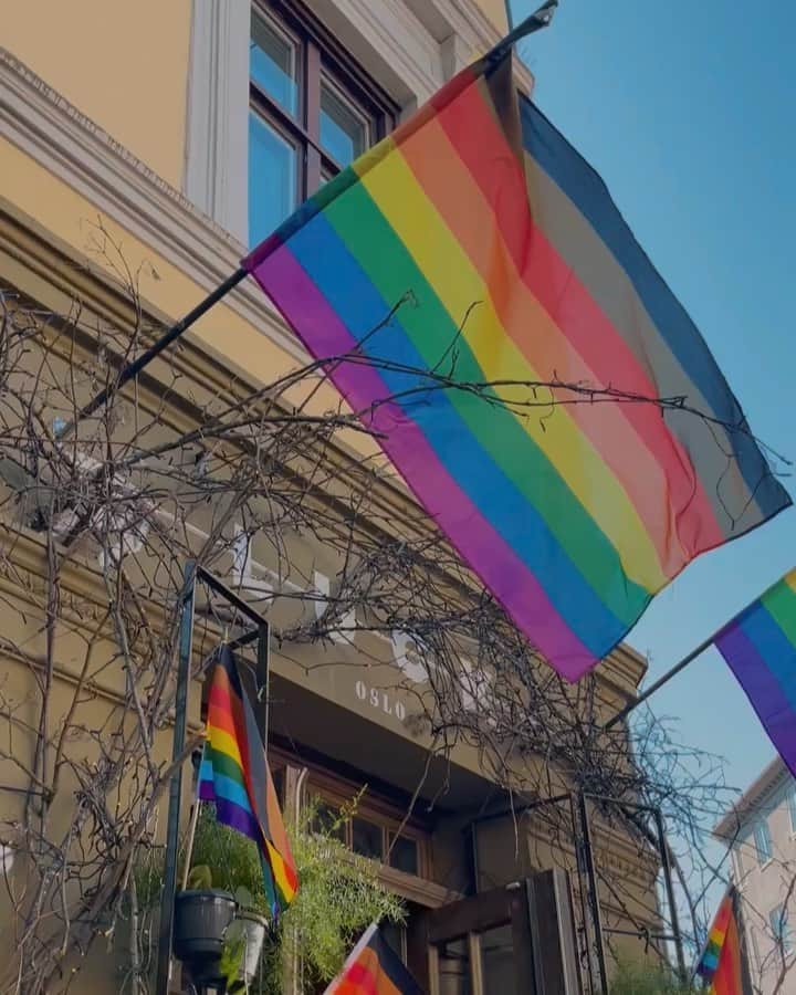 バイティモのインスタグラム：「Happy Pride 🌈  We celebrate the colours of the rainbow outside of @luckoslo @luck_botanical #bytimo #youarebeautiful」