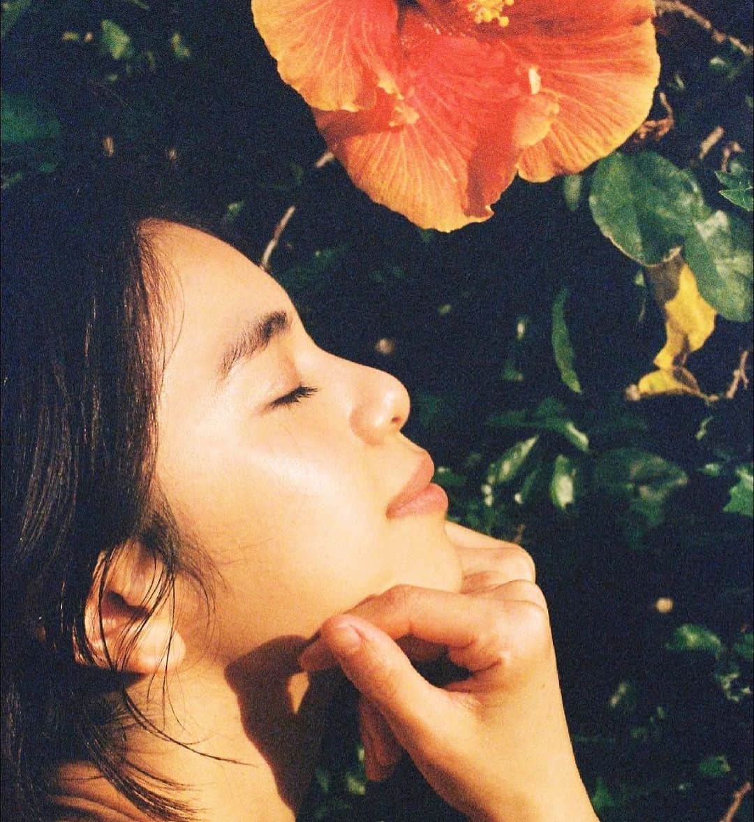 佐藤晴美のインスタグラム