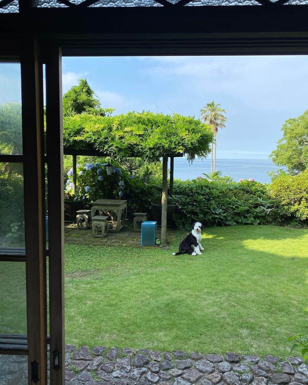 のインスタグラム：「夫から送られてきた写真。 #葉山の朝」