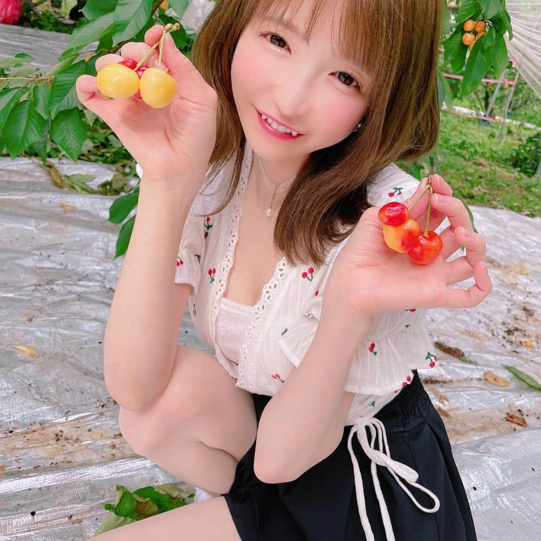 もえのあずきさんのインスタグラム写真 - (もえのあずきInstagram)「さくらんぼ狩り🍒 #さくらんぼ狩り#さくらんぼ#フルーツ狩り#フルーツ部#フルーツ大好き#もえあず#さくらんぼコーデ#大食い#エラバレシ#大食い女子 #食べ放題#フルーツ食べ放題#さくらんぼ食べ放題」6月27日 21時08分 - moeazukitty