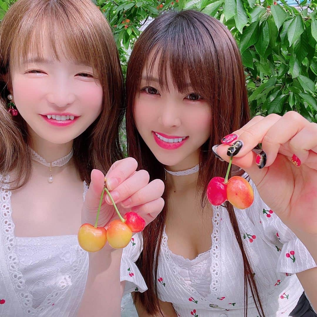 もえのあずきさんのインスタグラム写真 - (もえのあずきInstagram)「さくらんぼ狩り🍒 #さくらんぼ狩り#さくらんぼ#フルーツ狩り#フルーツ部#フルーツ大好き#もえあず#さくらんぼコーデ#大食い#エラバレシ#大食い女子 #食べ放題#フルーツ食べ放題#さくらんぼ食べ放題」6月27日 21時08分 - moeazukitty