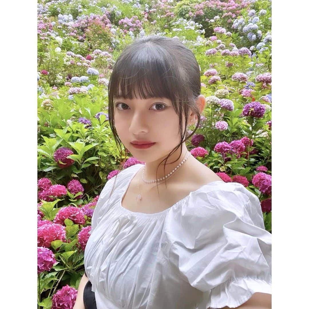 千葉祐夕のインスタグラム：「紫陽花」