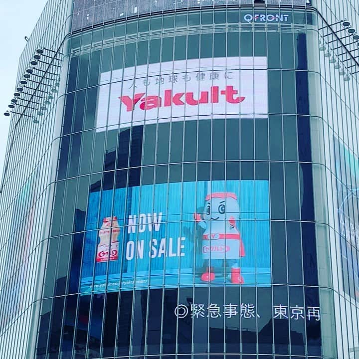 高根正樹のインスタグラム：「.  渋谷の大型ビジョン 変更されてからも観にいけたよ！ 改めていろんな想いを噛み締めながら 1人で突っ立ってました。笑  みんな本当にありがとう！！！  Thank you everyone! I love you!  #俳優 #高根正樹 #まちゃ #ファッション #メンズ #アイドル #甘党男子 #あざとい系男子 #自撮り男子 #美容男子 #あざとい系男子 #ダンス #EVERYLIVE #エブリィライブ #ライブ配信 #ライバー #男性ライバー #まちゃらいぶ #まちゃンネル #ピューロボーイズ #ピューロガールズ #グルテンフリー #ギルトフリー #ビーガン #ビーガンスイーツ #ギルトフリースイーツ #美容 #actor #selfie #fashion #dance」