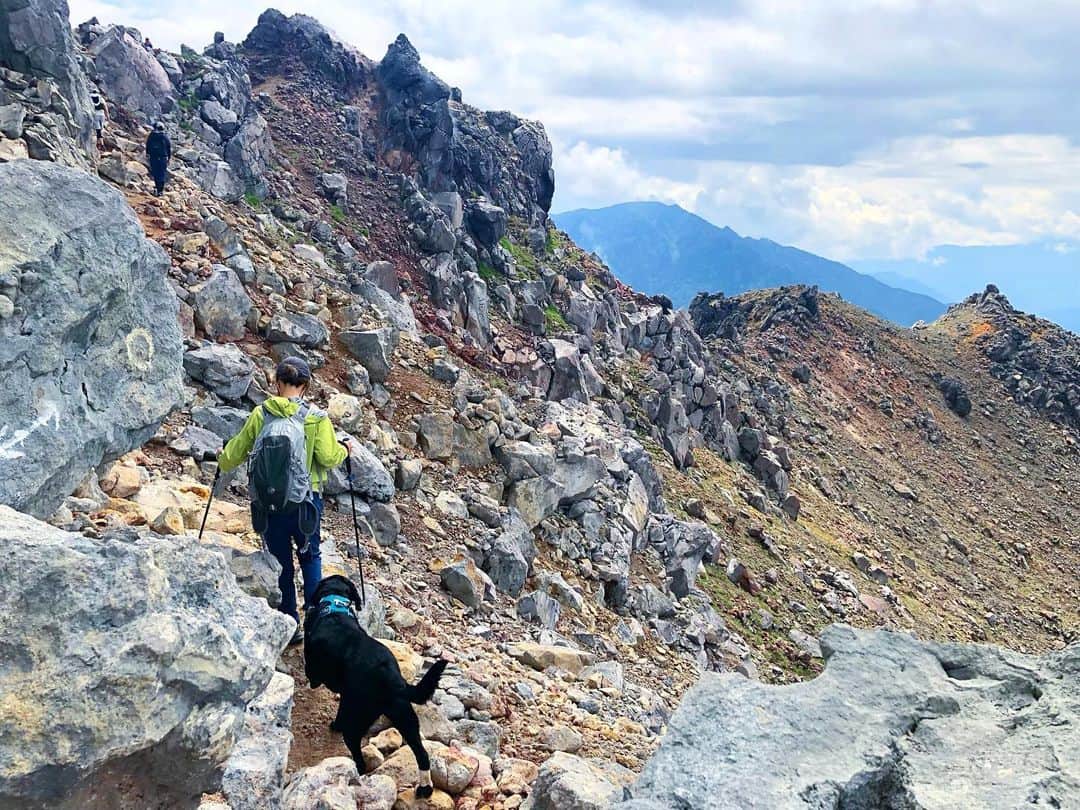 原口るりこさんのインスタグラム写真 - (原口るりこInstagram)「. . 〈原口家のオフ🌿〉 #犬旅 . 日本でも こんな美しい山に 犬と一緒に登れるとは 思いませんでした⛰✨ . #焼岳 普段noトレーニングの私には 高い岩ステップが長く続く 最初と最後がとっても辛かったです😂 #登り2時間半 頂上で写真を撮ったり、 途中お弁当も食べて往復5時間半でした🌿 . . 犬登山に厳しい日本、 調査して臨みましたが どうなるかなぁと思っていたので 出会った登山者の皆さんが 本当に優しく爽やかな方々で嬉しかったです☺️✨ . 原口家一の名犬カイくんは ひと言で 道のハジに寄ることも出来るし 他の登山者に興味を示すこともなく、 何も言わなくても ピタっと主人か私の後ろにくっついて 登ることが出来ます⛰✨ . 登山中、 皆さんから『お利口だね〜』 『かわいい』『かっこいい』と 褒めちぎられ、 まさに… この日のこの山の 〈主役〉のようだったのです🥺✨ . あれ… 前日、福井県のかわらけ投げで カイ君が書いた願い事… . 『主役になりたいby.カイ』 . . 1日で叶った カイくんの願い事🥰 . なんだか私たちが 幸せな気持ちになれる 登山となりました☺️⛰✨ . #ありがとう焼岳 #ありがとうございます出会った登山者の皆さま☺️」6月27日 16時58分 - ruriko_haraguchi24