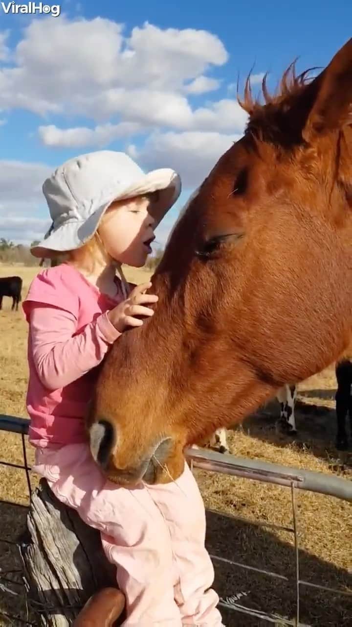 Mine Tugayのインスタグラム