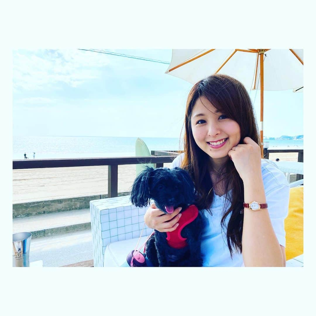 中島遥のインスタグラム