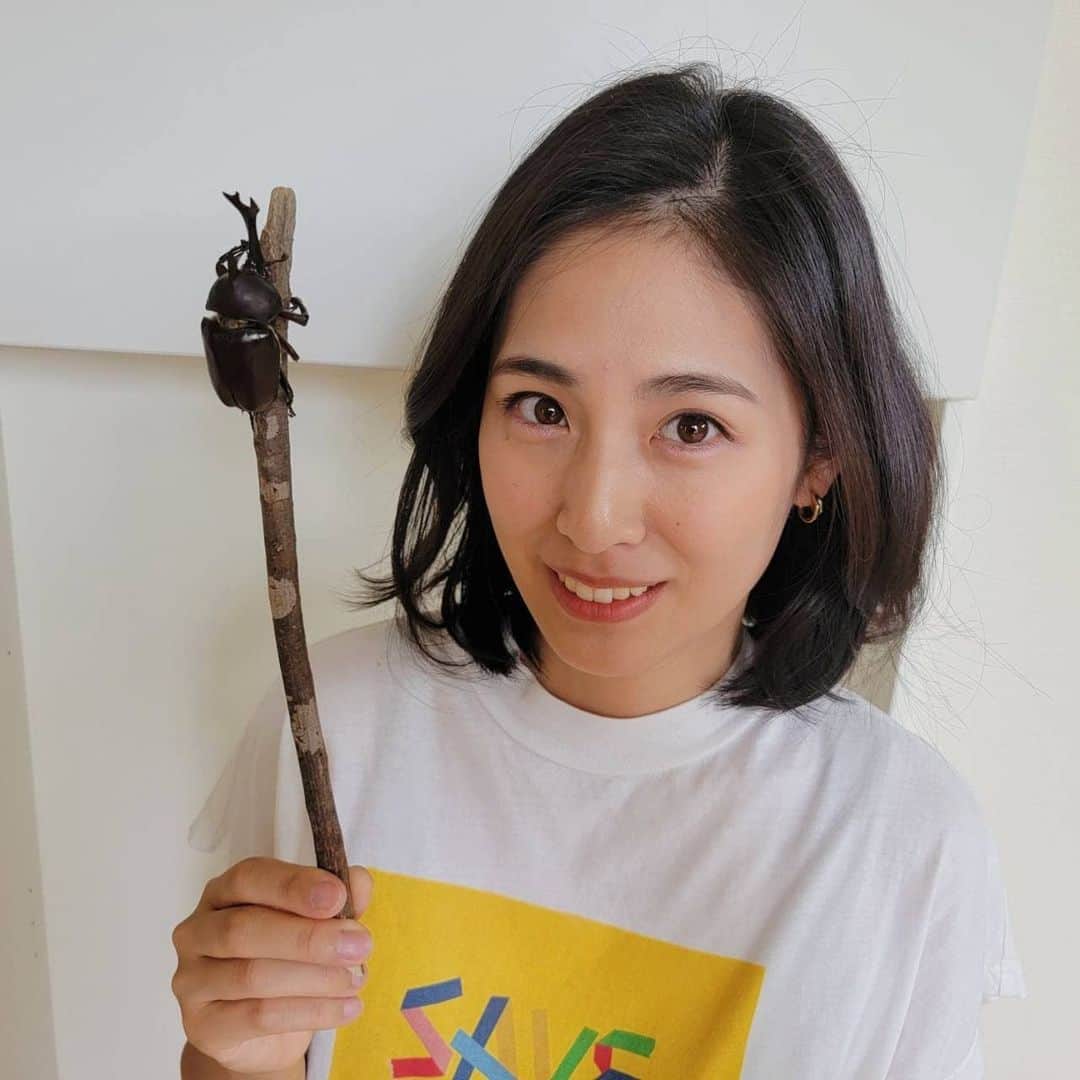 のインスタグラム：「カブトムシが家族の仲間入り🍉🌻  我が家に来てから2週間経ち、だんだん仲良くなってきました☺️  こっちに向かってくるとびびるけど😧  #びびリイナ #カブトムシ #長男の相棒 #虫 #夏 #こどものいる暮らし #sdgs #instagood #instadaily #followｍe」