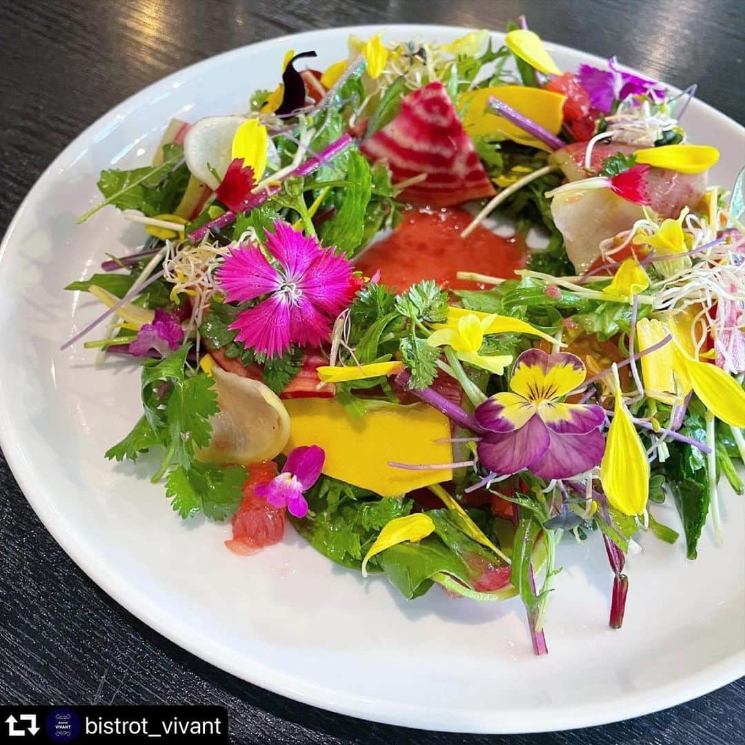 秋定麻紀子さんのインスタグラム写真 - (秋定麻紀子Instagram)「美しいアートなサラダ。 見て美。食べて美。 あぁー食べたい。 明日食べに行こうかな？  #repost @bistrot_vivant ・・・ まるでアートのような有機野菜のサラダ。 冷えたナチュールワインとの相性も抜群です。 ・ ・ #bistrotvivant #bistrovivant #vinnaturel #vinnature #bistrot #神田 #神田ビストロ #ビストロヴィヴァン #内神田  #ビストロ #サスティナブルレストラン #無農薬野菜 #有機野菜 #ビーガン料理 #ヴィーガン #vegan #veganfood  #神田司町 #自然派ワイン #ナチュールワイン  #japanvegan #tokyovegan」6月28日 22時40分 - makiakisada