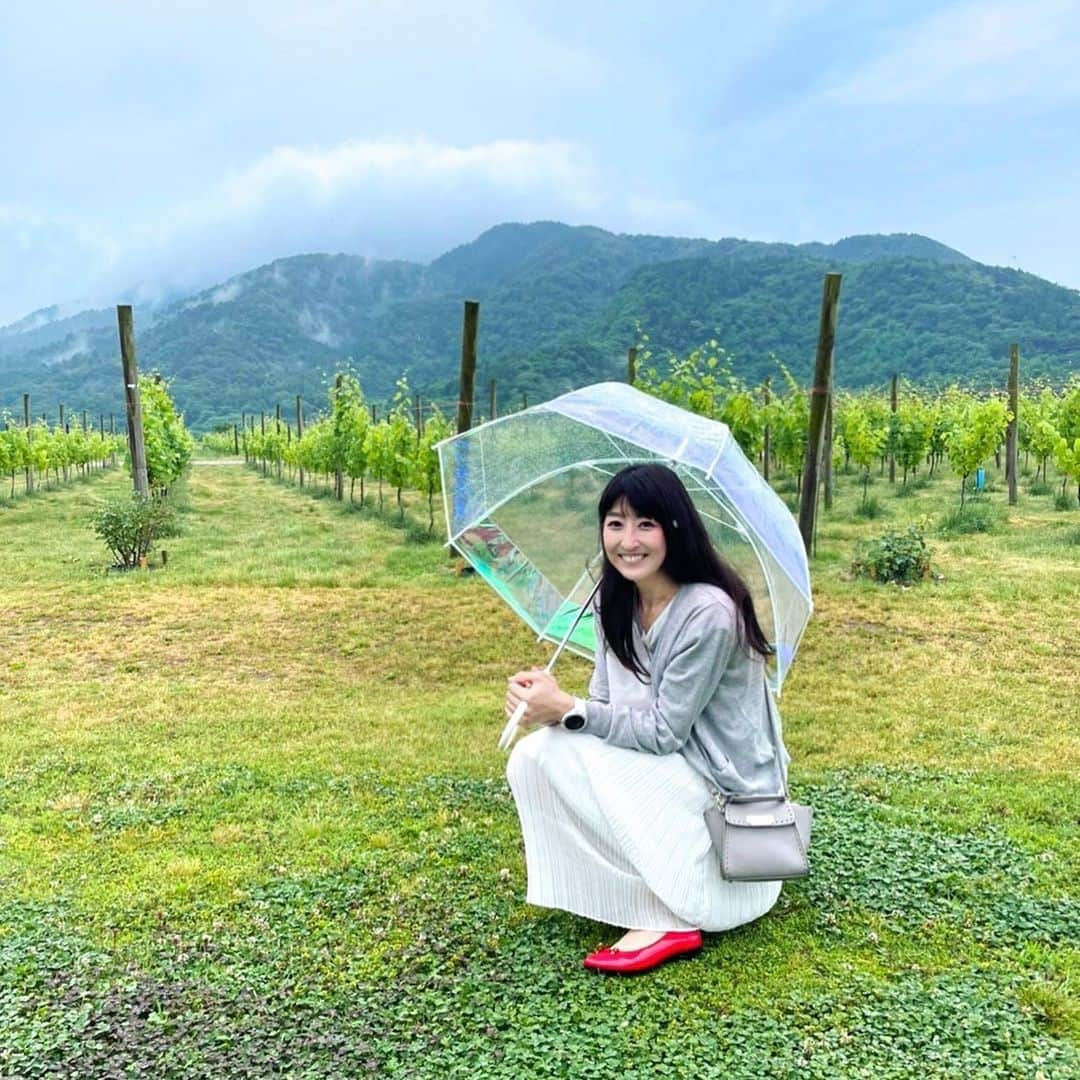 土屋香織さんのインスタグラム写真 - (土屋香織Instagram)「🍇新潟 ℂ𝔸𝕍𝔼 𝔻’𝕆ℂℂ𝕀 𝕎𝕚𝕟𝕖𝕣𝕪 🍾 ワイナリーに行ってみたかったの。 泊まれるワイナリーを新潟に発見🥂✧︎*。 . 何もかもセンス抜群で素敵すぎる場所でした♡ . 葡萄畑にて🍇 後ろに見えるのは弥彦山だったかな⛰ . . . #カーブドッチ #カーブドッチワイナリー #東京女子部 #新潟旅行 #新潟県 #弥彦山 #かおvoyage #かおgourmet #ワイナリー #オーベルジュ #ワイナリーホテル #たびすたぐらむ #旅行 #旅行好きな人と繋がりたい #旅行好き女子 #ワイナリーツアー #楽天フォトジェニック旅 #retrip_nippon #retrip_japan #タビジョ #genic_japan #beautifuldestinations #icotto #tabigenic #旅行好き女子 #iamatraveler #stayway女子旅 #otonatabi_japan #beautifulhotels #beautifuldestinations #ぶどう畑 #角田山」6月28日 23時03分 - kaorintsuchiya