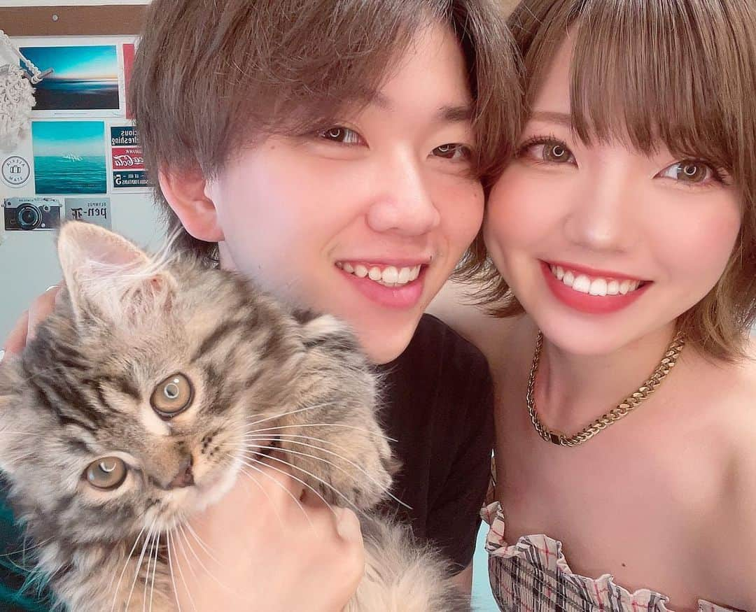 みきでりさんのインスタグラム写真 - (みきでりInstagram)「大好きが詰まってるっ😻🦸🏻‍♂️🐾💖 @goro_the_minuboy @masaki.3.1.hagi Love you two with all my heart❤️🫂 ㅤ ㅤ ㅤ ㅤ ㅤ ㅤ  #ミヌエット #ミヌエット短足 #ミヌエット子猫 #ミヌエット長毛 #ミヌエット男の子 #みぬえっと #仔猫 #猫のいる暮らし #猫好きさんと繋がりたい #猫スタグラム #猫バカ #親バカ#にゃんすたぐらむ #にゃんこ #にゃんだふるらいふ #にゃんこ部 #にゃんすたぐらむ🐾 #にゃんだふるライフ #ねこのいる生活 #ねこすたぐらむ #ねこのいる生活 #ねこのいる暮らし#catstagram #catlovers #catsofinstagram #minuet #minuetcat」6月28日 23時24分 - mikidelicious