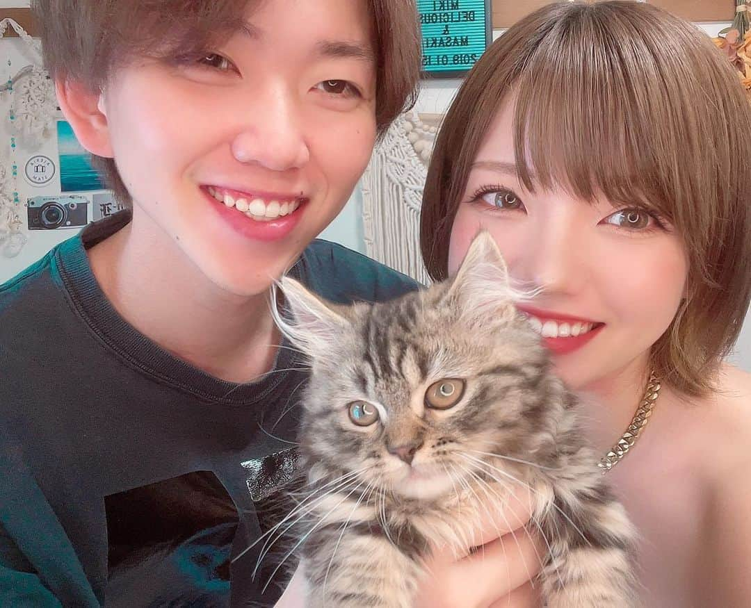 みきでりさんのインスタグラム写真 - (みきでりInstagram)「大好きが詰まってるっ😻🦸🏻‍♂️🐾💖 @goro_the_minuboy @masaki.3.1.hagi Love you two with all my heart❤️🫂 ㅤ ㅤ ㅤ ㅤ ㅤ ㅤ  #ミヌエット #ミヌエット短足 #ミヌエット子猫 #ミヌエット長毛 #ミヌエット男の子 #みぬえっと #仔猫 #猫のいる暮らし #猫好きさんと繋がりたい #猫スタグラム #猫バカ #親バカ#にゃんすたぐらむ #にゃんこ #にゃんだふるらいふ #にゃんこ部 #にゃんすたぐらむ🐾 #にゃんだふるライフ #ねこのいる生活 #ねこすたぐらむ #ねこのいる生活 #ねこのいる暮らし#catstagram #catlovers #catsofinstagram #minuet #minuetcat」6月28日 23時24分 - mikidelicious